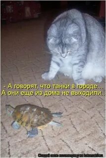 Как тебя отключить