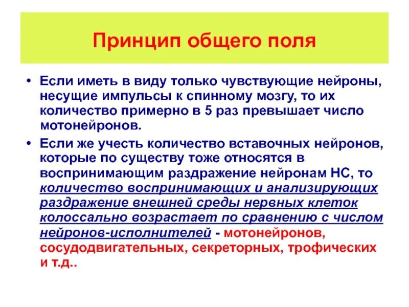 Что общего поле. Принцип общего поля. принцип общего конечного пути. методы исследования цнс. суммарное поле.