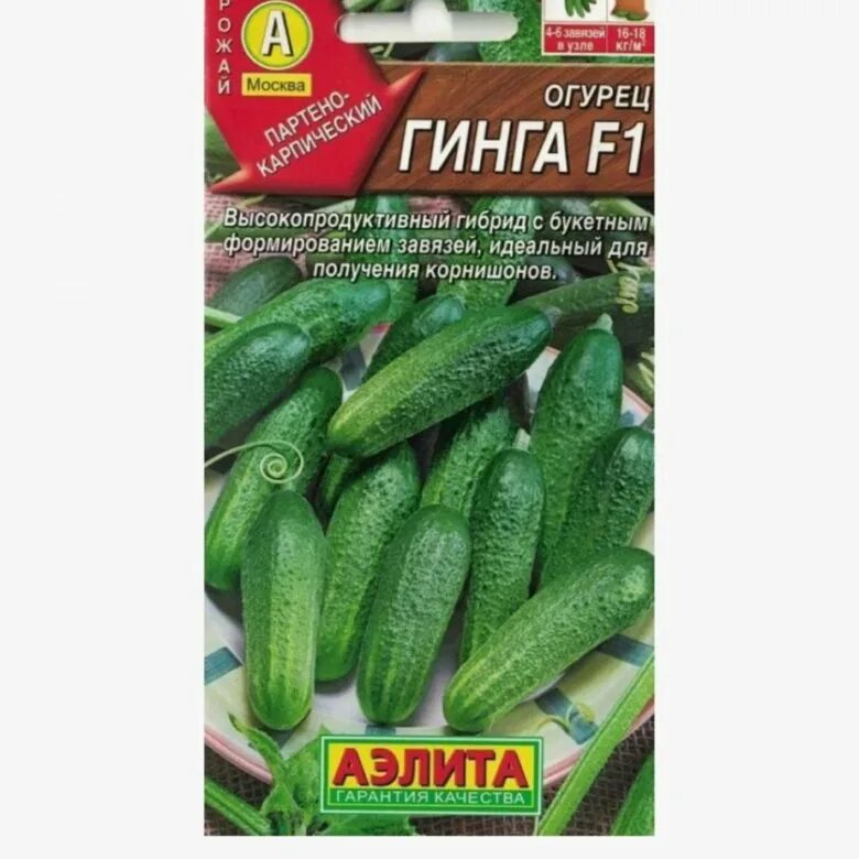 Огурцы сорт гинга. Семена огурец гинга f1. сорт огурца гинга.