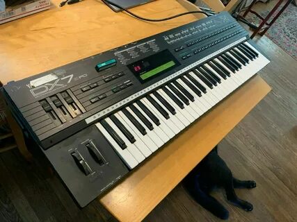 Dx 7