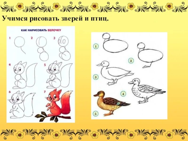 Рисование птиц и животных. Учимся рисовать. Птицы. Поэтапное рисование птиц. Поэтапное рисование птицы в детском саду. Рисуем птицу поэтапно презентация 2 класс