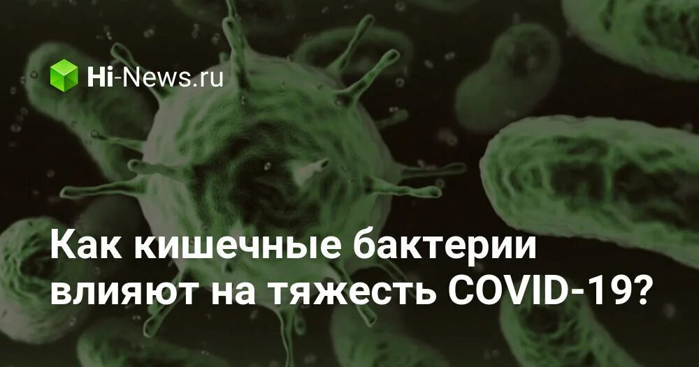 Бактерия которое не имеет мозгов. Голодайте чтобы кишечные микроорганизмы тоже проголодались. Как бактерии влияют на человека. Воздействие микроорганизмов на организм человека. Как бактерии влияют на человека.