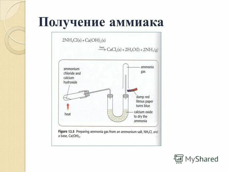 Прибор для получения аммиака в лаборатории. Прибор для получения аммиака. Получение аммиака из простых веществ. Получение аммиака вывод. Получение аммиака из азота.