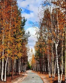 Ноябрьск в октябре