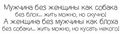 Мужчина без женщины читать. Мужчина без женщины как собака без блох. Мужчина без женщины как собака без блох а женщина без мужчины. Мужчина как собака без блох жить можно но скучно а женщина. Мужчина без женщины как.