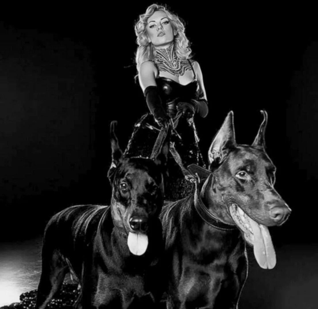 Фотосессия с доберманом в платье. Фотосессия с доберманом. Доберман студия. Доберман собака. Зои дойч с доберманом.