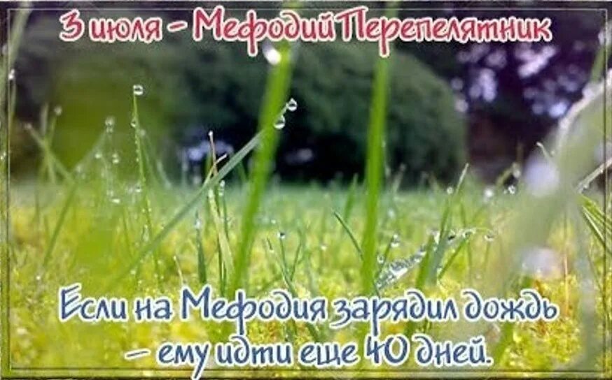 3 июля. Народные приметы 3 июля. 3 июля календарь. 3 июля день. 3 июля народный календарь.