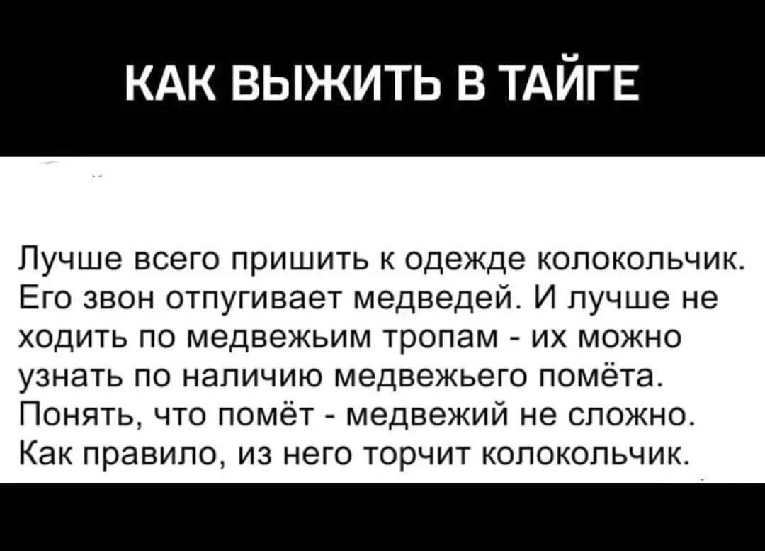 Как выжить в тайге. Как выжить. Анекдот про медведя и колокольчик. Шутка про медведя и колокольчик. Как выжить в постели императора