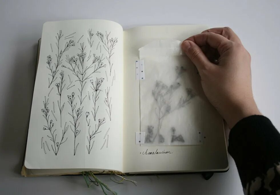 эстетика рисования в скетчбуке. рисунки в скетчбук одежда. зарисовки в скетчбук. скетчбук для рисования эстетика. скетчбук эстетика.