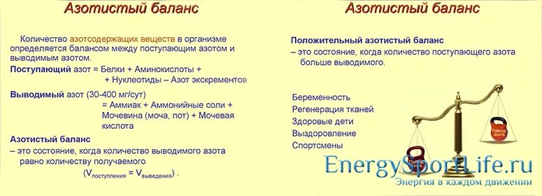 Баланс не меняется. Азотистый баланс. Положительный азотистый баланс. Положительный азотный баланс. Показатели азотистого баланса.