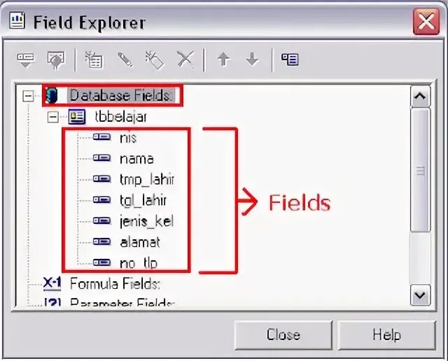 Database fields