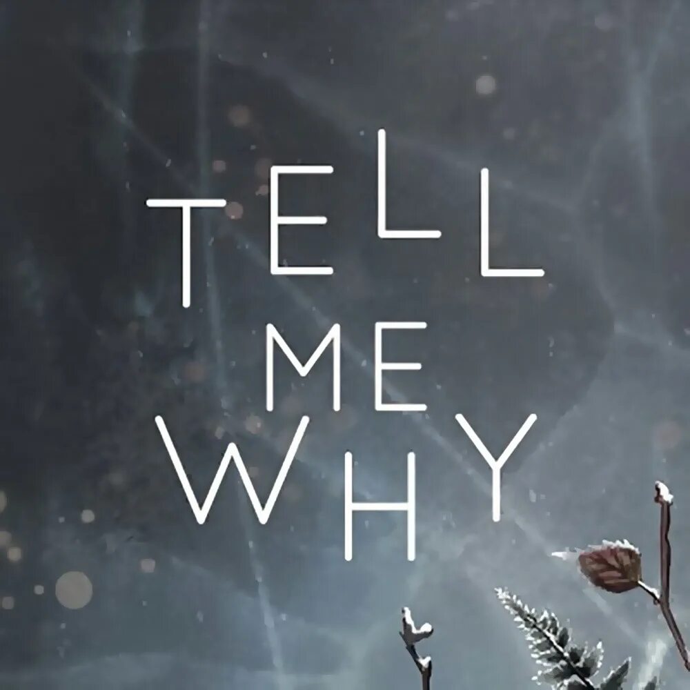 Tell me why?. Tell me обложка. Tell me why (игра). Tell me why обложка. Tell me why to do