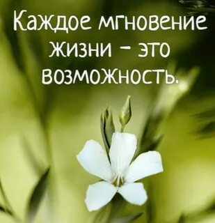 i?id=49337a599fc38c01b8fa739468c46dd9f8a99baa-5537820-images-thumbs&n=13