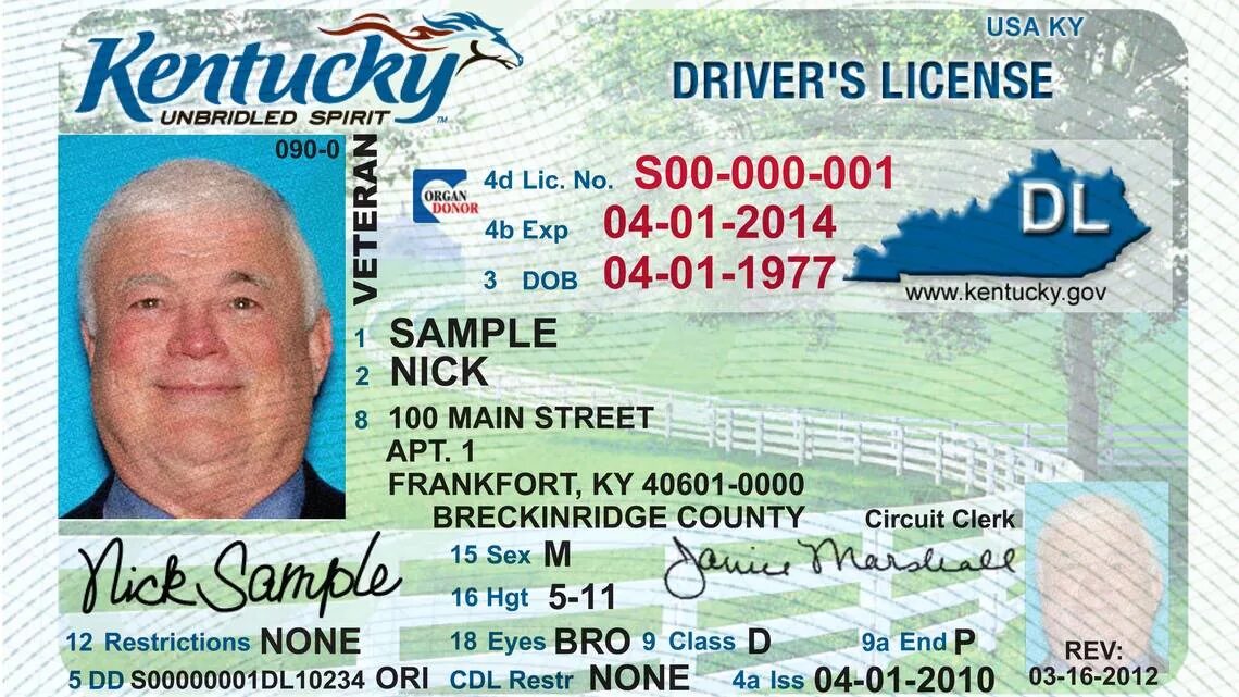 License value. Driver license. kentucky driver license.