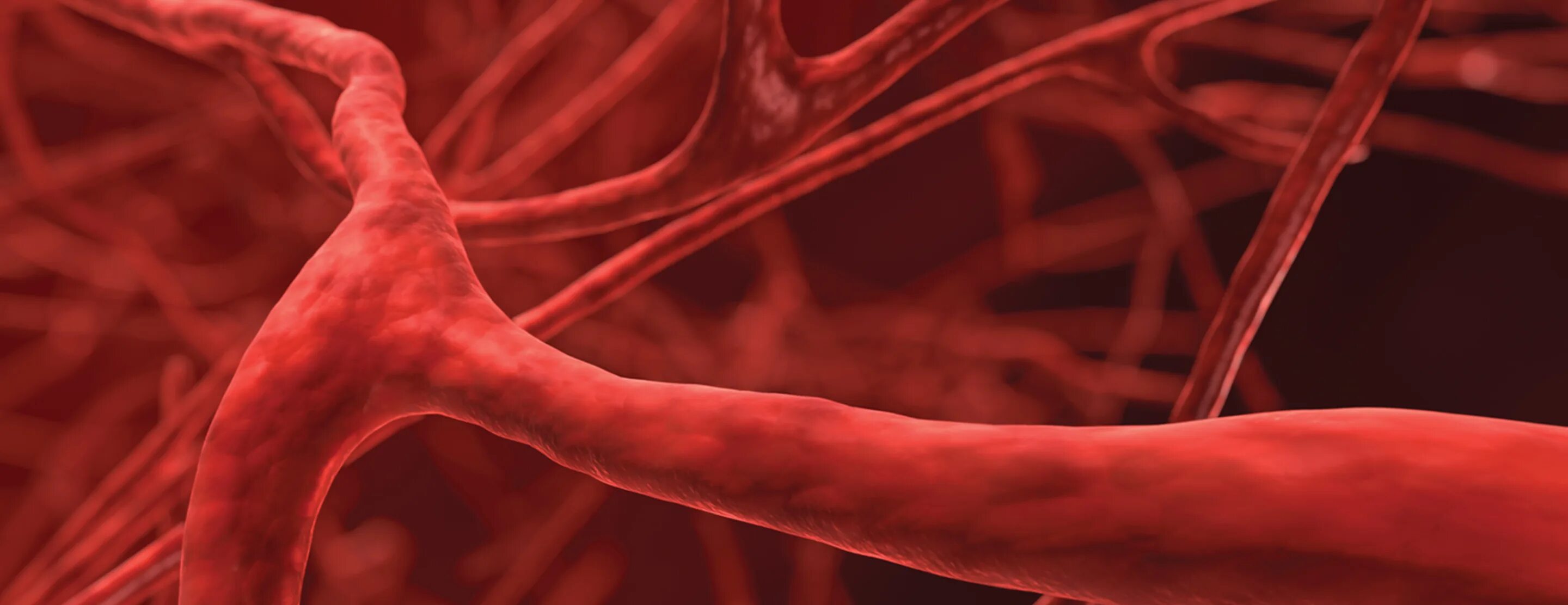 Выраженная пульсация сонных артерий характерна для:. Сосудистая мигрень. Общая сонная артерия. Спазм височной артерии. Пульсирует сосуд.