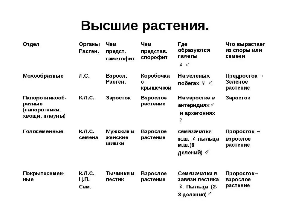 Какие существуют отделы растений. Высшие споровые растения таблица. Сравнительная характеристика высших растений. Сравнительная характеристика отделов высших споровых растений. Высшие споровые растения сравнительные характеристики.