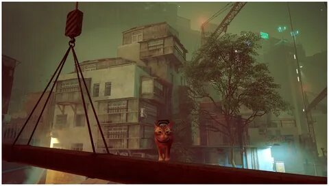 Stray игра отзывы