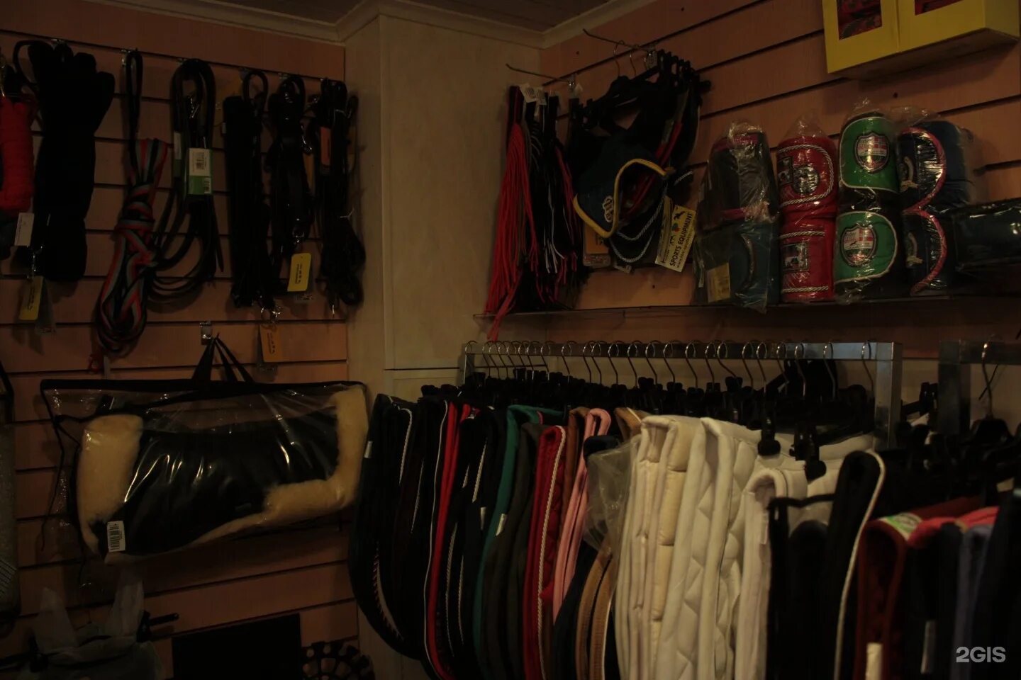 лошадь в конюшне. амуниция для скачек на лошадях. конный спорт спб. магазин конный спорт в янино. конный магазин.