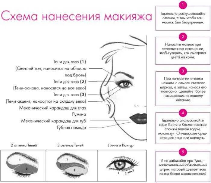 Испечет какое лицо. Схема нанесения теней дневной макияж. Макияж глаз схема нанесения теней. Схемы макияжа для начинающих пошагово.