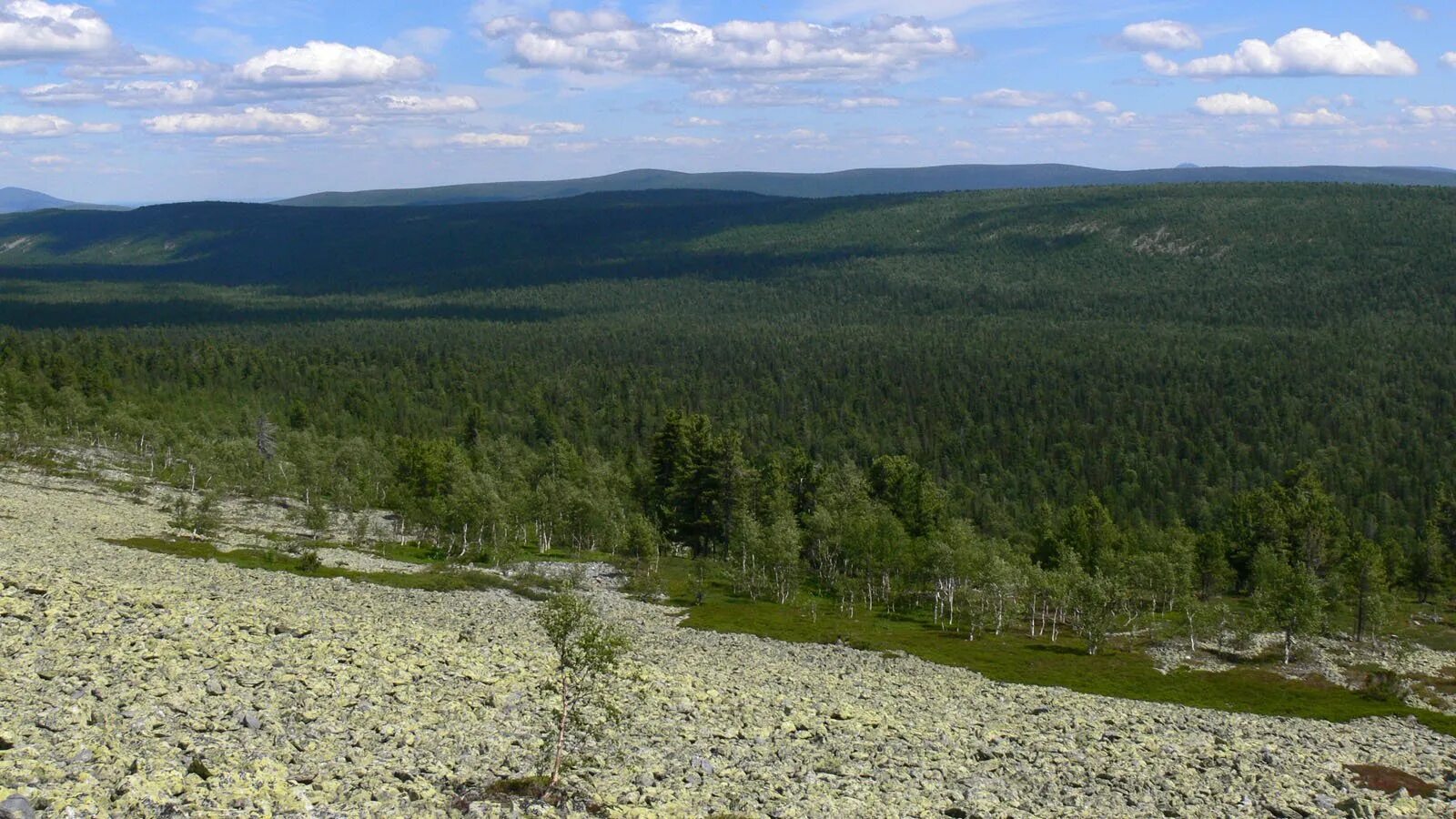 Гора Кумба Североуральск. Североуральск гора Денежкин камень. Гора Кумба на Урале. Гора золотой камень Североуральск. Урал североуральск