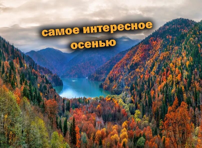 Абхазия осень. Золотая осень в Абхазии. Абхазия горы осенью. Осень в горах Абхазии.