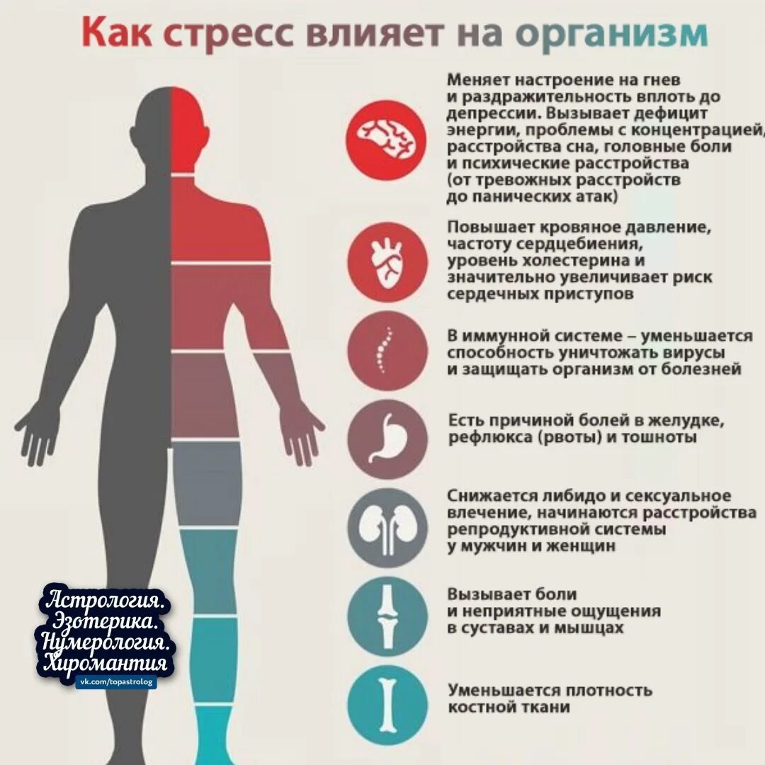 Стресс на организм человека