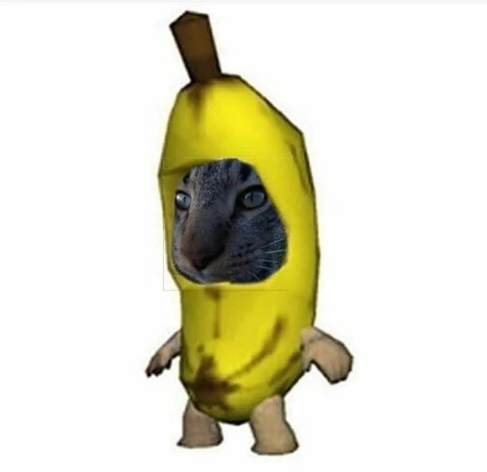 Котик в костюме банана. Кот банан Мем. Котёнок в костюме бонана. Мемный котик в бабнане. Банан плачет мем