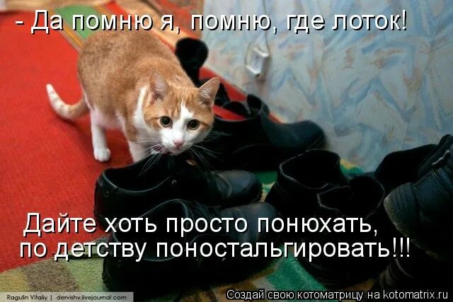 Я вспомнил где я не был. Я не из пугливых. Был кот не из пугливых, но даже он сумел понять. Знаете я не из пугливых.