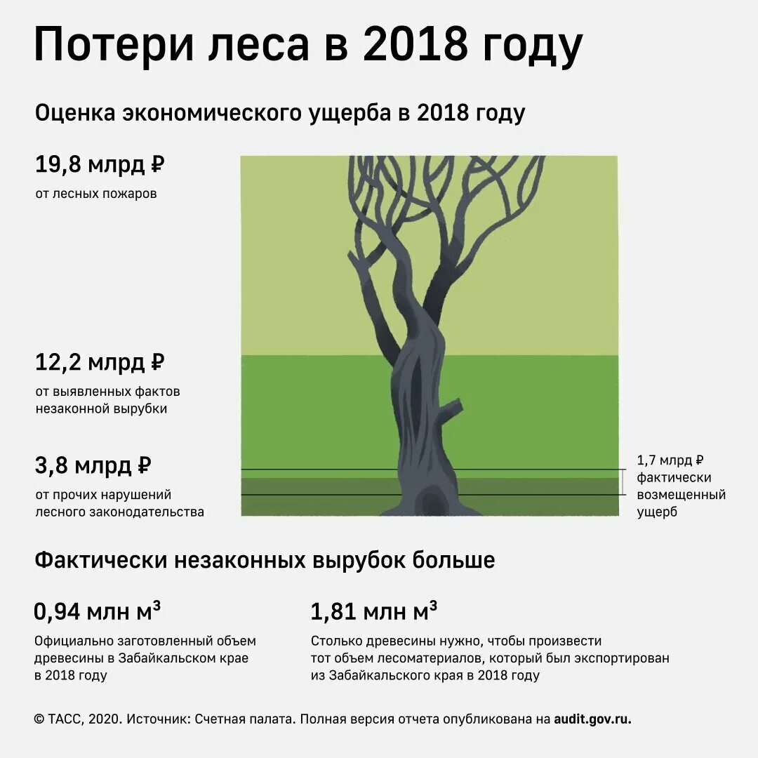 Сколько деревьев в москве. Статистика вырубки леса в России. Вырубка лесов в России статистика. Вырубка лесов таблица. Вырубка лесов в России статистика 2020.