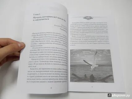 11 правил читать