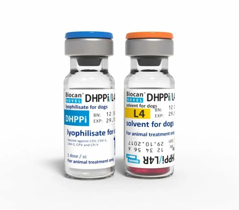 Вакцина Биокан DHPPI. Биокан DHPPI вакцина для собак. Биокан DHPPI+LR.