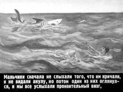 Литературная акула