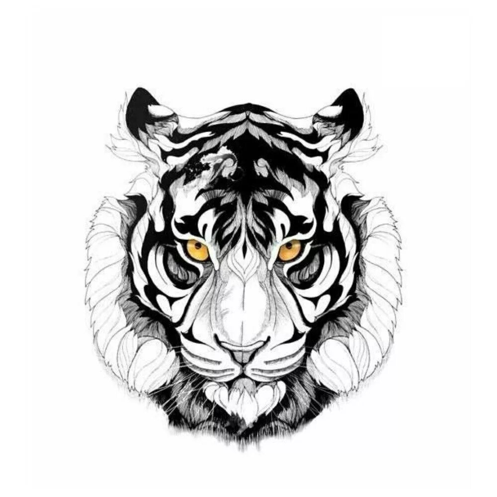 Эскиз тигра