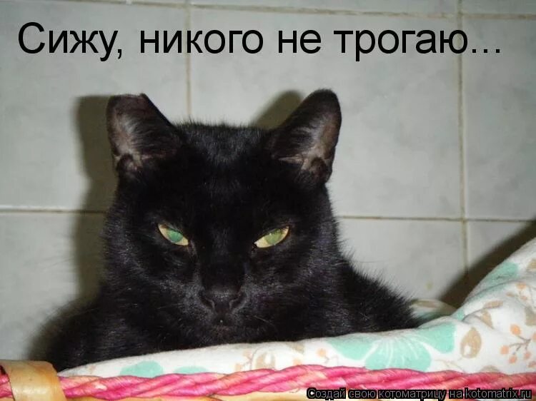 сижу никого не трогаю а хотелось бы. когда любишь хочется прикасаться. где можно трогать картинка. не трогай это на новый год прикол. смешное про беременных.