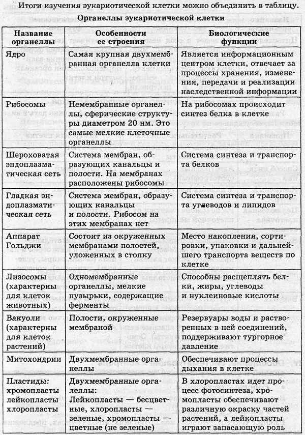 Составная часть клетки функции. Строение и функции органоидов клетки таблица 10 класс. Название строение и функции органоидов клетки таблица. Таблица основные органоиды и структуры клетки строение и функции. Функции органелл растительной клетки таблица.