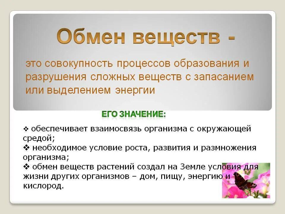 Что такое основной обмен почему. Что такое обмен веществ в биологии 8 класс определение кратко. Обмен веществ определение биология 8 класс. Обмен веществ краткое определение. Что такое обмен веществ кратко.