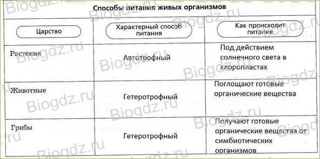 Приведем итоги что вы узнали о многообразии живых организмов. Как составить таблицу многообразных живых организмов. Биология 6 класс подведем итоги. Заполни пропуски в тексте с многообразием живых организмов. Подведем итоги по биологии 9 класс