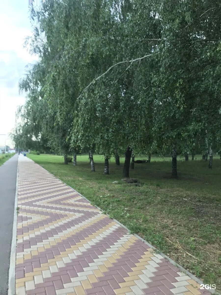 Гренада набережные челны. Парк Гренада в Набережных Челнах. Парк Гренада Набережные Челны зеленые насаждения. Парк Гренада Набережные Челны фото.