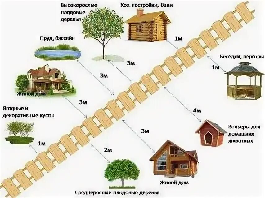 Сколько от забора можно сажать деревья. Нормы посадки на участке. Посадка деревьев на участке нормы. Расположение деревьев от забора. Нормы посадки деревьев и кустарников на участке.