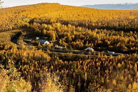 Темная падь