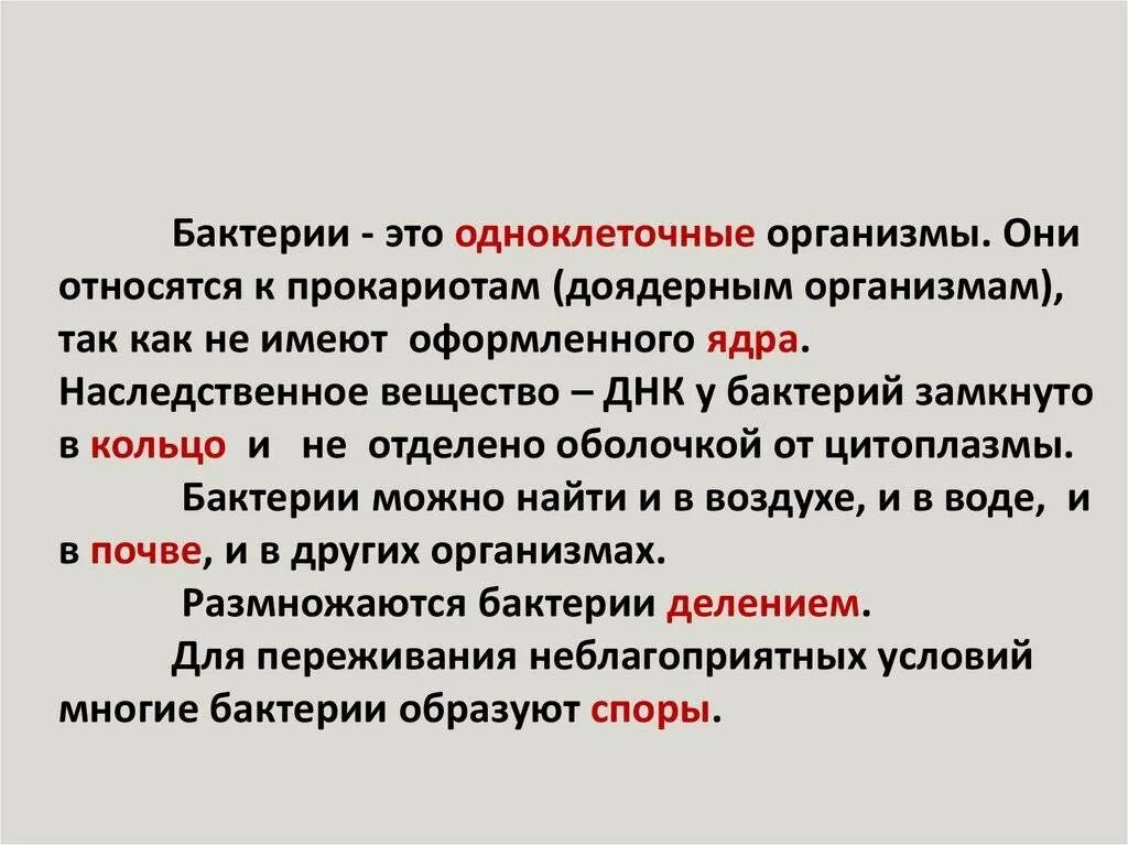 Почему бактерии относят к. Бактерии относятся к прокариотам. микроорганизмы относящиеся к прокариотам.