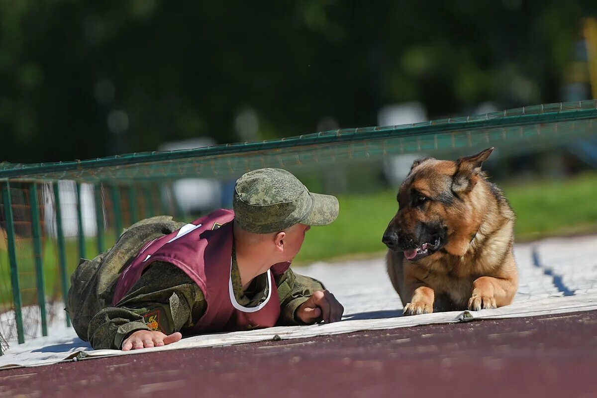 Кинолог. Профессия кинолог. Кинолог с собакой. Военный кинолог. Какая профессия кинолога