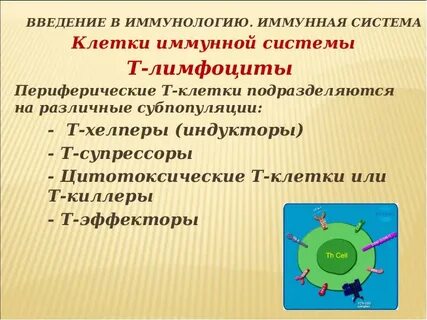 Иммунные супрессоры