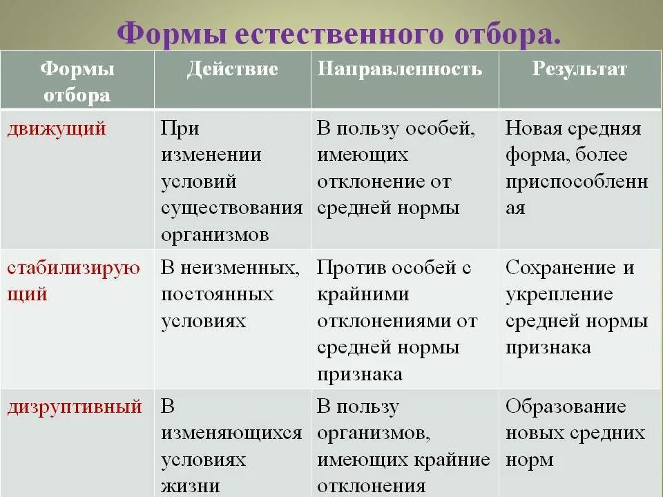 На основании каких групп признаков осуществляется природное. Формы отбора движущий стабилизирующий дизруптивный. Таблица формы естественного отбора 9 класс биология. Формы естественного отбора таблица по биологии 11 класс. Формы естественного отбора характеристика примеры.