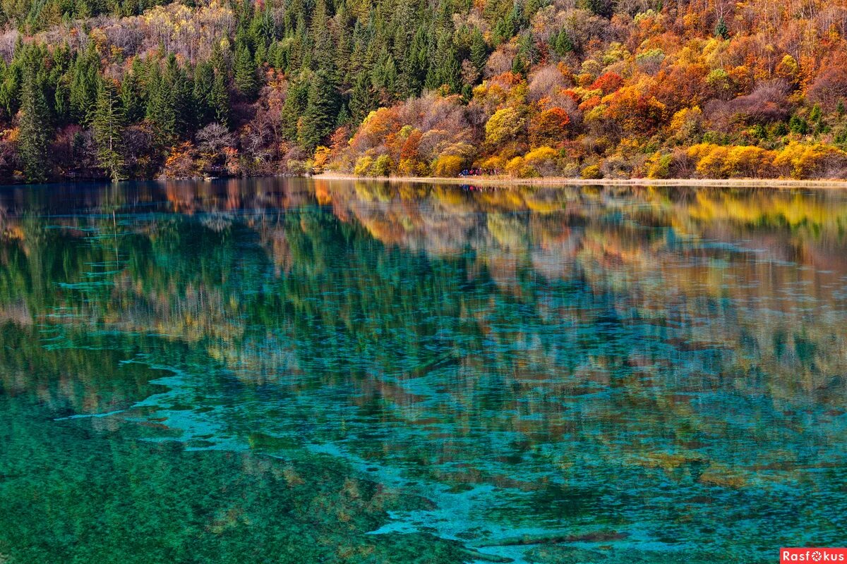 крупнейшее озеро 5 букв. крупнейшее озеро 5 букв. озеро пикуто. национальный парк озеро малави. озеро пяти цветов в китае.