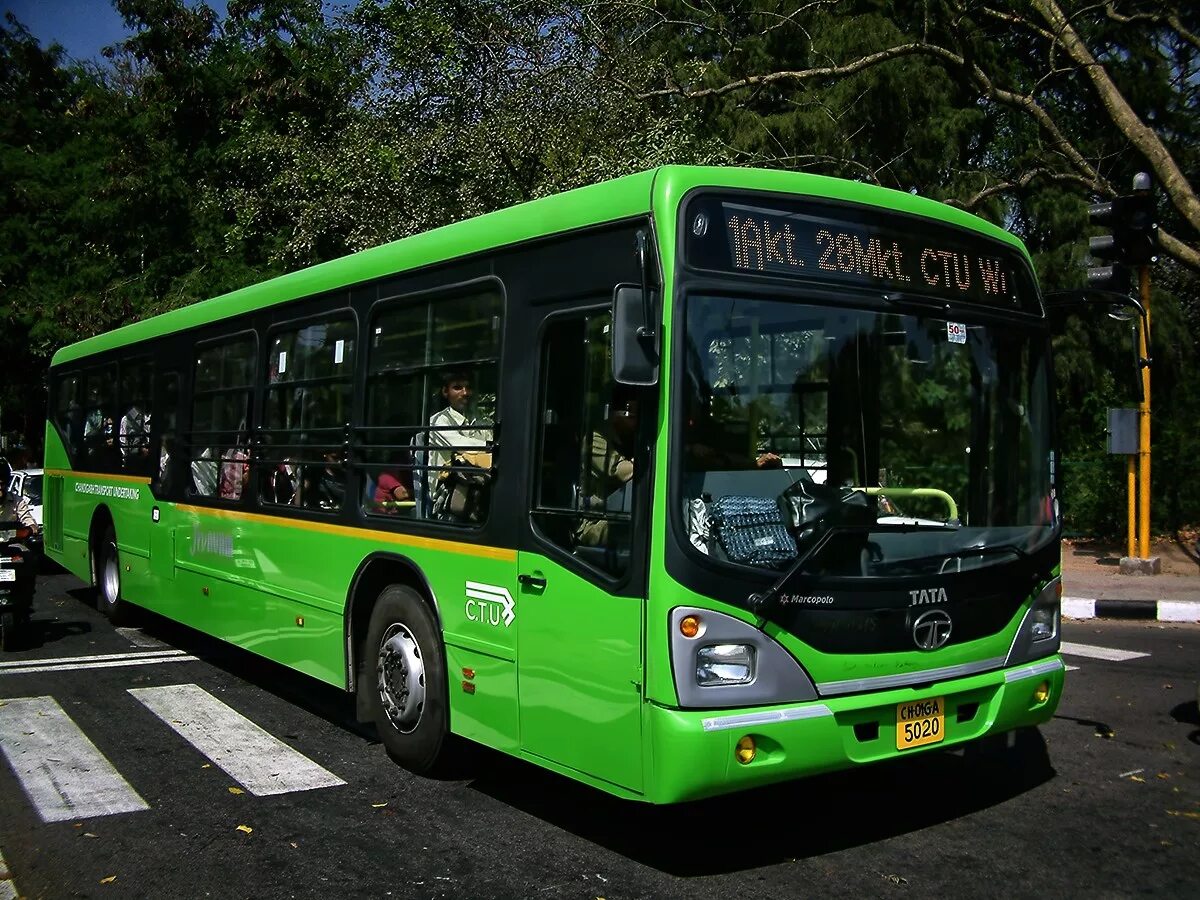 Marcopolo Bus. Tata Marcopolo CTU. Автобус Marcopolo. Зеленый автобус.