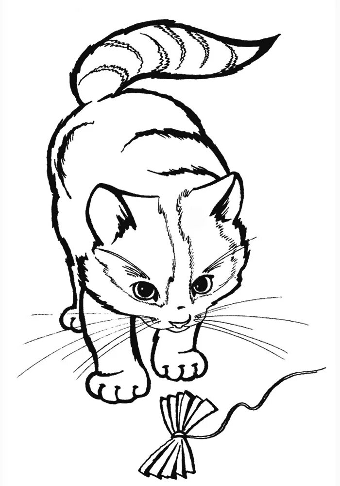 Раскраска для девочек котята. Котики. Раскраска. Кошки. Раскраска.