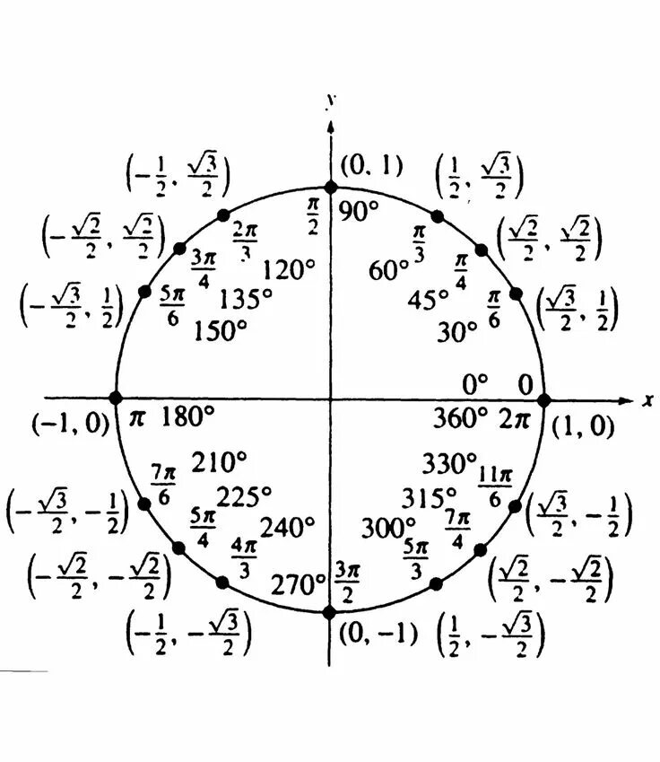 Точки тригонометрического круга. Тригонометрический круг 10 класс. Тригонометрическая окружность схема. Тригонометрический круг единичная окружность. Тригонометрическая окружность - пи на 2.