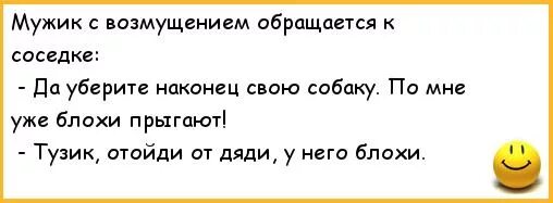 Песня про соседку. Анекдот про блоху. Анекдоты про мужа и собаку. Анекдот про блох и собаку. Приколы про соседку.