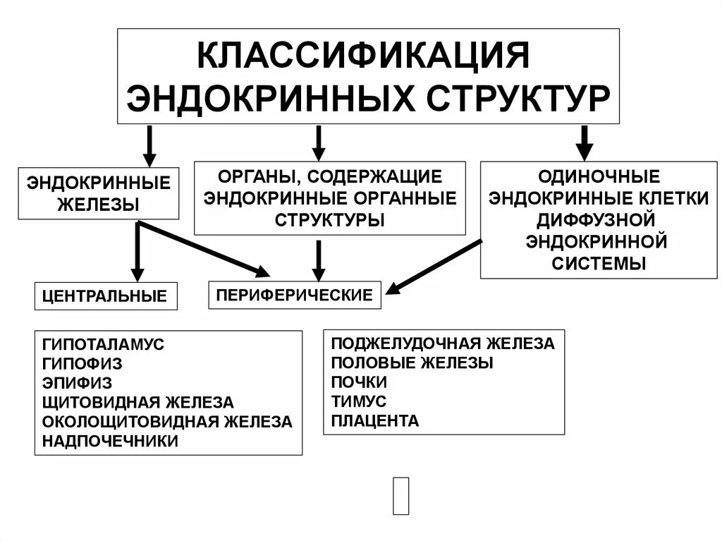 Центральные органы эндокринной системы гистология. Классификация заболеваний органов эндокринной системы. классификация эндокринной системы схема. классификация эндокринной системы гистология. классификация желез эндокринной системы гистология.